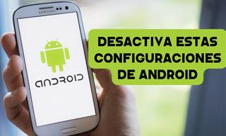 Mejora El Rendimiento De Tu Android Con Estos Pequeños Ajustes