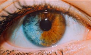 Nuevos Métodos Para Cambiar El Color De Ojos y Sus Complicaciones