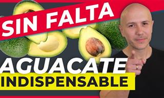 ¿Es Malo Comer Mucho Aguacate?