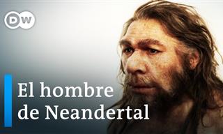 Por Qué Los Neandertales Eran Diferentes a Cualquier Otra Especie