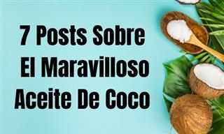 7 Maravillosos y Útiles Artículos Sobre El Aceite De Coco