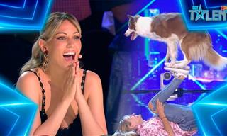 Adorable Perra Bailando En Got Talent España