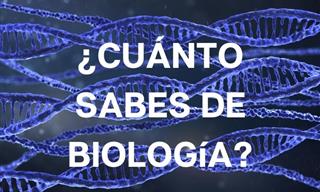 TEST:¿Qué Tan Bien Recuerdas La Biología Básica?