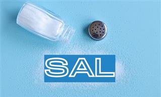 Test:¿Cuánto Sabes Sobre La SAL?