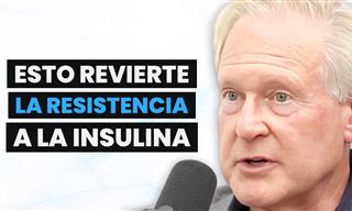 Neuroendocrinólogo Habla Sobre La Resistencia a La Insulina