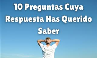 La Explicación a 10 Preguntas Que Seguramente Te Has Hecho