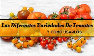 Conoce Las 7 Variedades De Tomates y Sus Usos