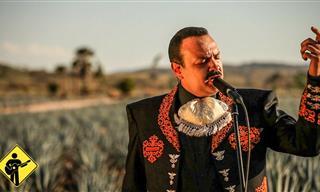 Músicos Mexicanos Interpretan "México Lindo y Querido"