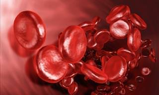 Conocer Los Síntomas De Coágulos De Sangre Podría Salvarte La Vida