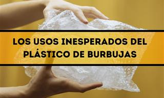 ¿Acaso Conocías Estos Usos Inesperados Del Plástico De Burbujas?