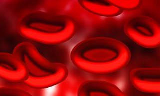 Datos Interesantes Sobre La Sangre