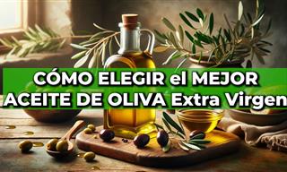 ¿Cuál Es El Mejor Aceite De Oliva Para Preparar Alimentos?