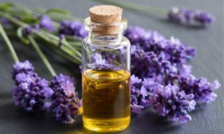 Una Guía De Aromaterapia Con Aceites Esenciales Caseros