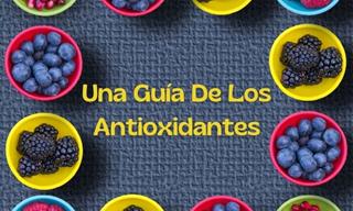 Una Guía Sobre Los Antioxidantes, Los Radicales Libres y El Estrés Oxidativo