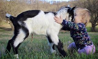 Estos Niños y Animales Son Tan Adorables y Graciosos Que Derretirán Tu Corazón