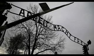 Día De Conmemoración De Las Víctimas Del Holocausto