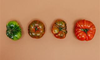 9 Maneras De Madurar Los Tomates Verdes Más Rápido