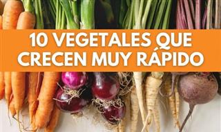 10 Vegetales Que Crecen Muy Rápido En Casa
