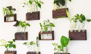 10 Hermosas Ideas De Exposición Vertical Para Plantas De Interior