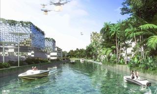 La Ciudad Futurista Forestal Inteligente De Cancún: 100% Renovable