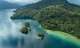 La Misteriosa y Encantadora Selva Lacandona En Centroamérica