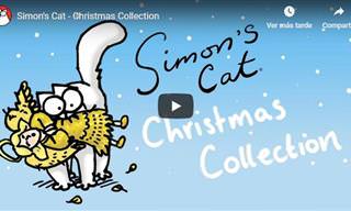 ESPECIAL: 10 Videos Recopilatorios Del Gato De Simón En Navidad