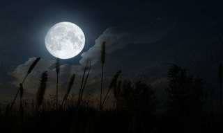 ¿Conocías Estos Datos Curiosos Sobre La Misteriosa Luna?