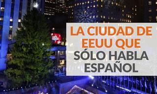 Hialeah: La Ciudad De EE.UU Donde Solo Se Habla Español