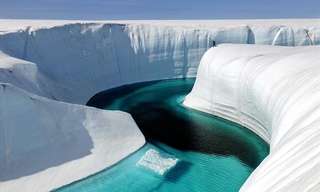 ¡Los Iceberg Son Fascinantes Por Estas 30 Razones!