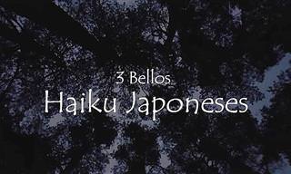 3 Poemas Tradicionales Japoneses Que Son Pura Hermosura