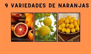 ¿Cuántas Variedades De Naranjas Has Probado?