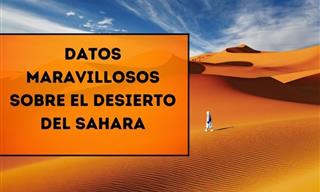 10 Datos Extraños y Maravillosos Sobre El Desierto Del Sahara