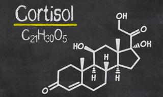¿Por Qué Es Tan Importante La Hormona Del Cortisol?