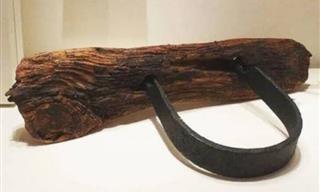 Descubrimientos Inusuales Del Siglo XIX Que Nunca Antes Habías Visto