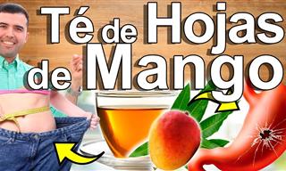 Conoce Los Beneficios Saludables De Las Hojas De Mango