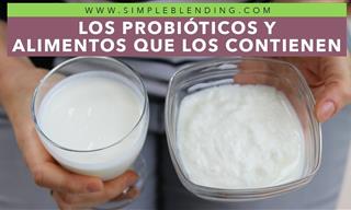 ¿Qué Alimentos Contienen Probióticos?