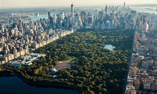 La Historia Oculta y Las Joyas Secretas De Central Park