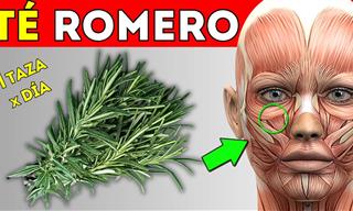 El Té De Romero y Todos Sus Beneficios Para La Salud
