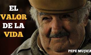 Para Reflexionar: El Valor De La Vida Según Pepe Mujica