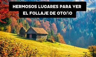 Estos Lugares Son Perfectos Para Disfrutar De Los Colores Del Otoño