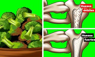 Evita La Osteoporosis Consumiendo Estos 15 Alimentos