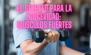 Guía Completa Para Tener Unos Músculos Fuertes y Ser Más Longevo