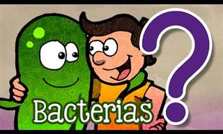 Las Bacterias Pueden Ser Benéficas Para Tu Salud 