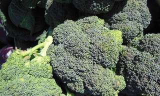 Conoce los Beneficios Del Brócoli