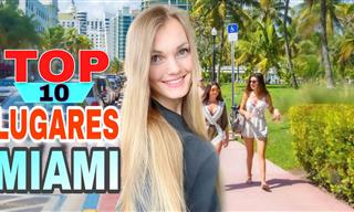 Un Paseo Por Miami ¡Disfrutalo!