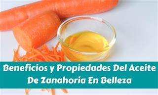 5 Beneficios Del Aceite De Zanahoria Para La Piel y El Cabello