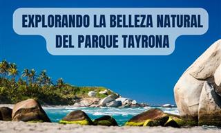 Parque Tayrona :Exuberantes Playas y Bosques Tropicales