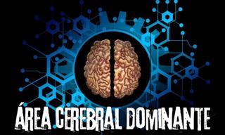 ¿Cuál Es Tu Área Cerebral Dominante?