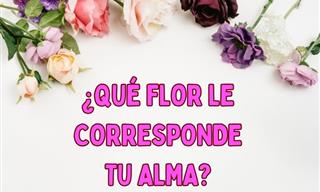¿Cuál Es <b>La</b> Flor <b>Que</b> Le Corresponde a <b>Tu</b> Alma?