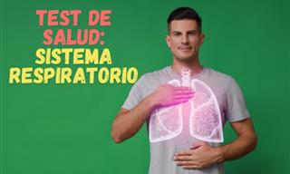 ¿Cuánto Conoces Del Sistema Respiratorio?